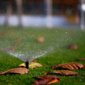 Winterizing Your Orchid Garden: How To Protect Your Plants With Sprinkler Winterization Services In Northern Virginia