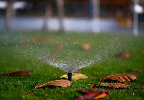 Winterizing Your Orchid Garden: How To Protect Your Plants With Sprinkler Winterization Services In Northern Virginia